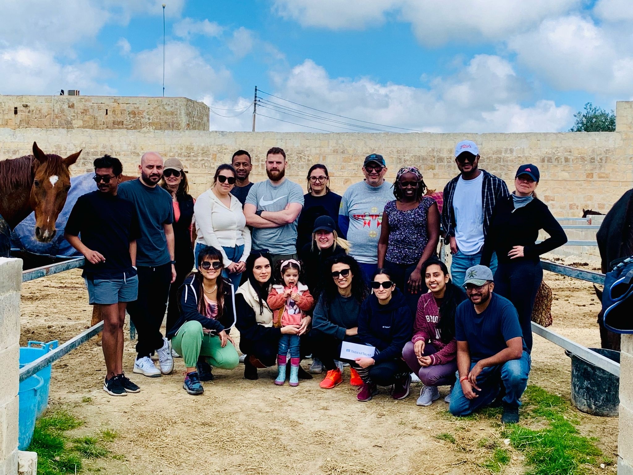 TMAL RMJ Horse Rescue 2